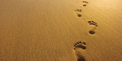 Human footprints in the sand