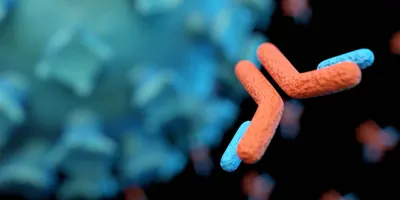 Computer image of an antibody