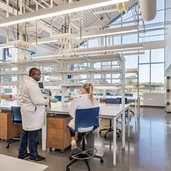 The design team strategically and carefully crafted the building structure, floors and ceilings to remain open and exposed, further promoting the functionality of the building and beauty of the studies taking place. 