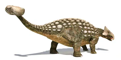 Aritist render of an ankylosaurus on a white background