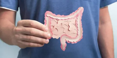 Man holding a paper cutout of the human intestinal track