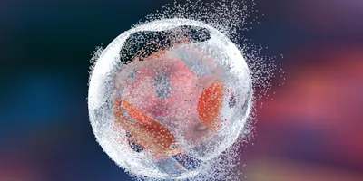 Computer image of a cell being sheared