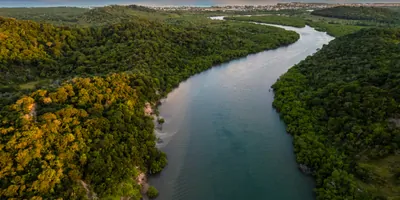 River in the Amazon forest