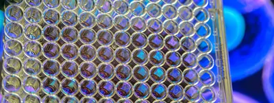 The Selection of Depth Filtration Devices for Cell Cultures, Fermentation Broths and Cell Lysates