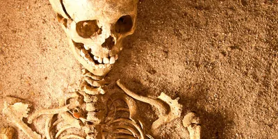 Human Child remains being excavated