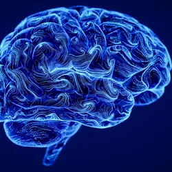 Blue Computer graphic of a human brain