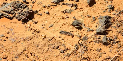 Squares of an archeology dig