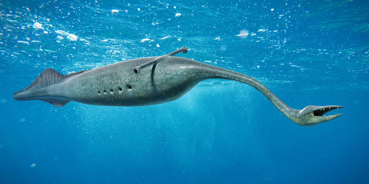 tullymonster