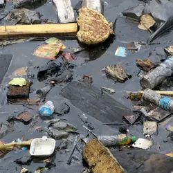 Plastic and garbage floating in water