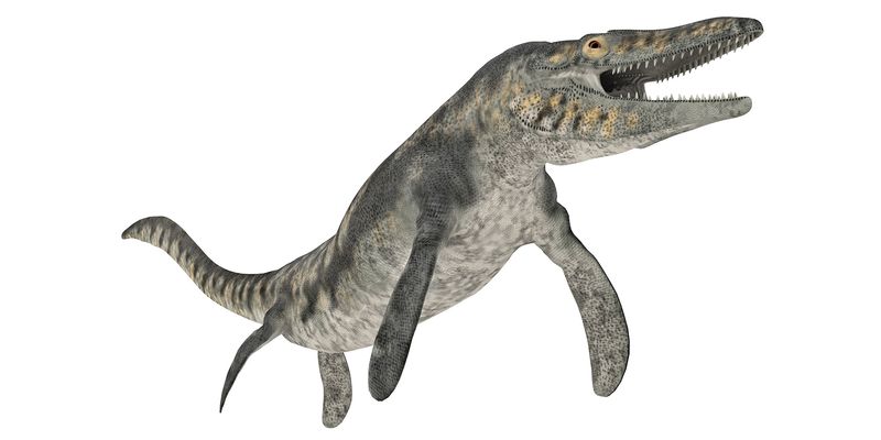 Fossil of Mosasaur with Bizarre 'Screwdriver Teeth' Found in