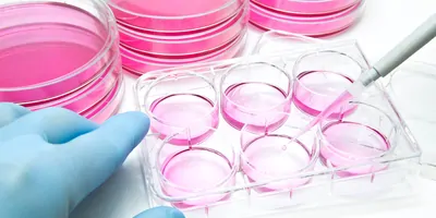 Cell Culture Resource Guide