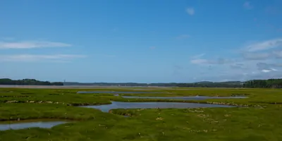 Aerial view of a salt marsh