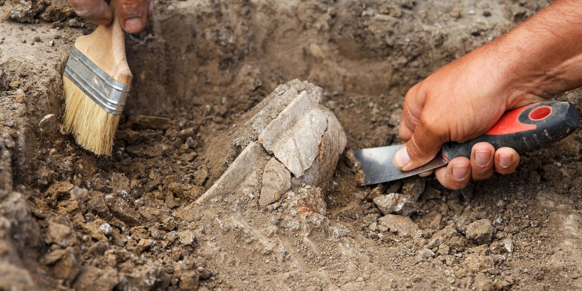Evidence of the Structural Evolution of Prehistoric Agricultural Economy - Vimarsana News
