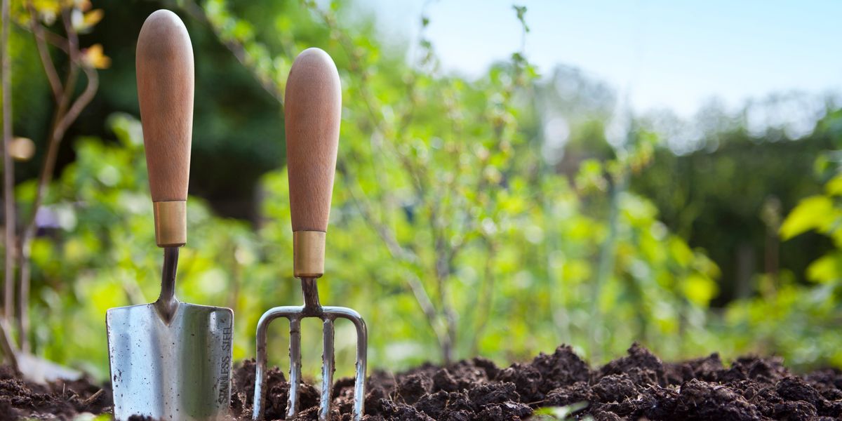 Could Microplastics in Soil Introduce Drug-Resistant Bugs to the Food Supply? - Vimarsana News