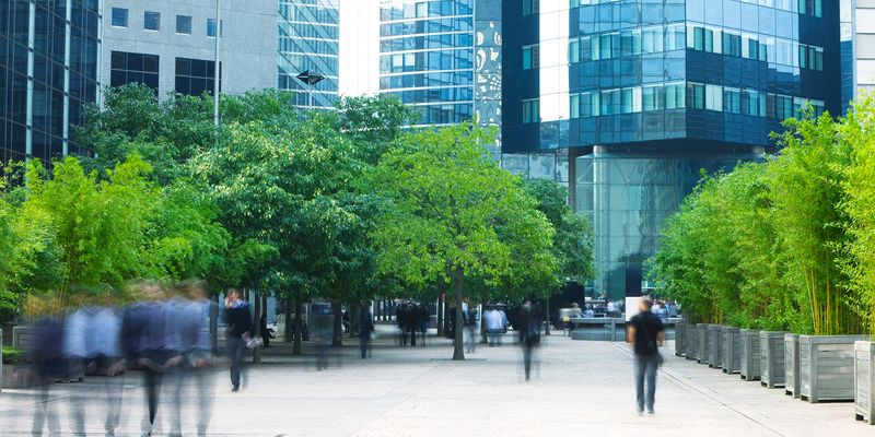 Image showcasing Study Shows Making Cities Greener Doesn’t Just Capture Carbon—It ...