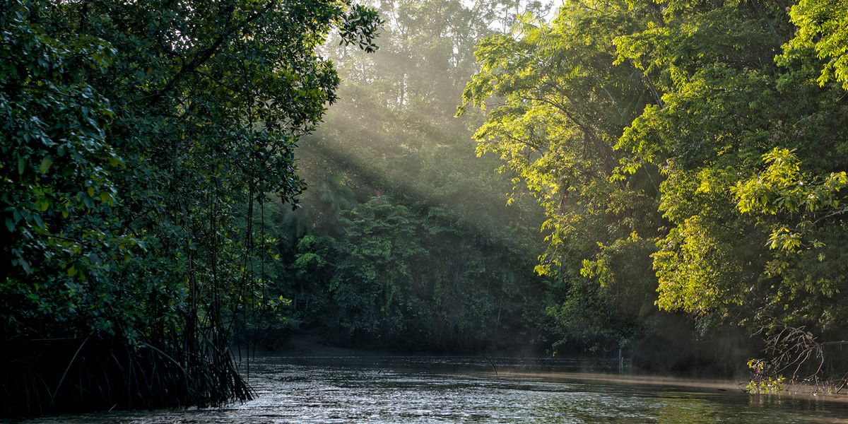 Balancing Biodiversity, Climate Change, Food for a Trifecta - Vimarsana News