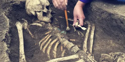 Human skeletal remains 