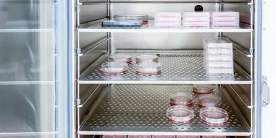 CO2 Incubators Resource Guide