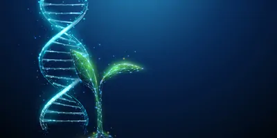 Computer image of DNA and a plant