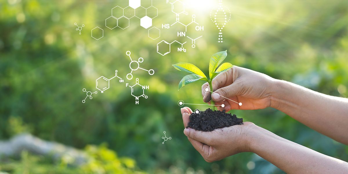 Plants Transformed into Detectors of Dangerous Chemicals | Lab Manager