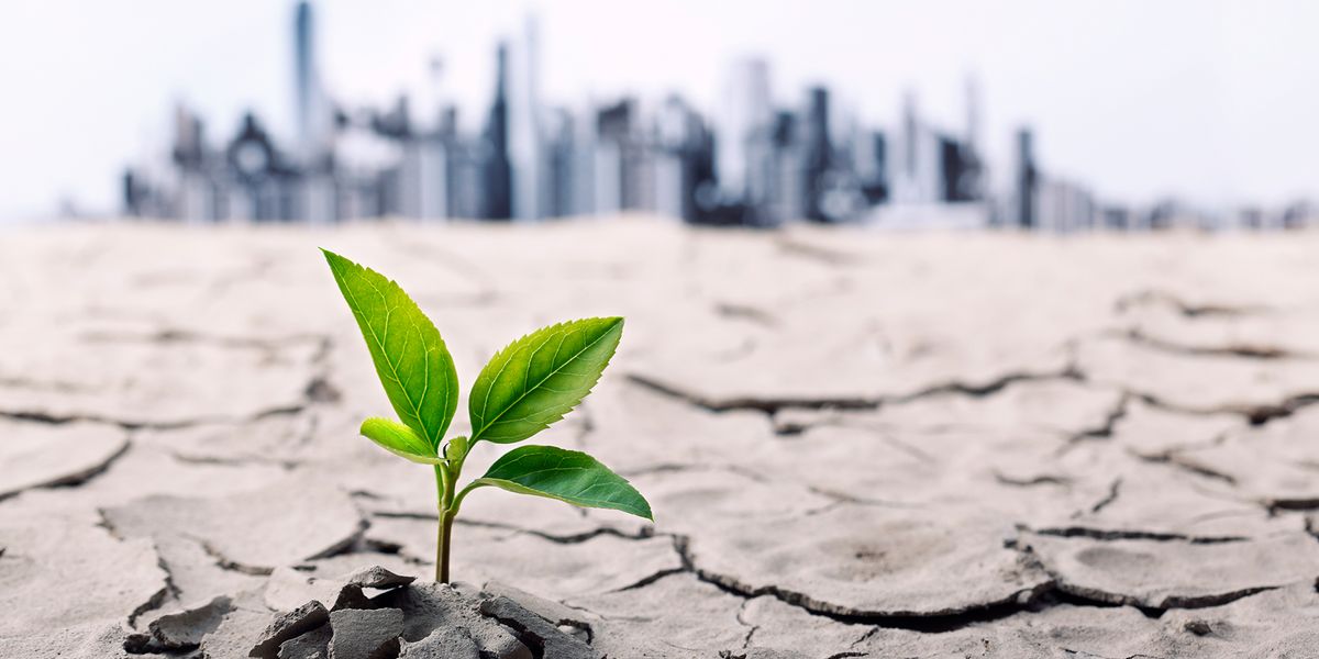 Climate Report: 'Uncharted Territory' Imperils Life on Earth - Vimarsana News