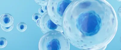 3D render of cells