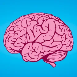 Vector image of human brain on a blue background