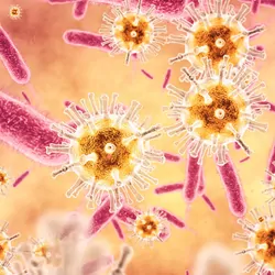 Computer image of bacteria and viruses in a medium 