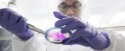 Scientist in full PPE working in cleanroom on cell culture