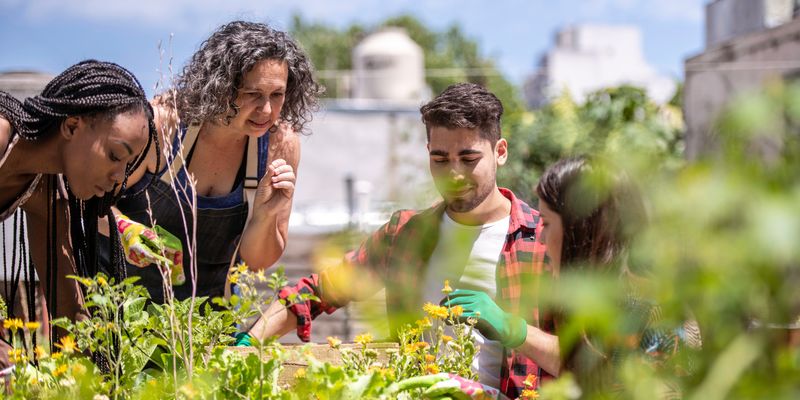 Image showcasing Scaling Up Urban Agriculture | Lab Manager
