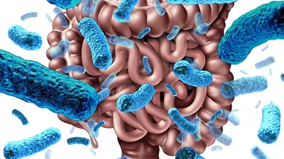 Infant Microbiome Research