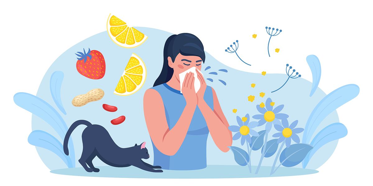 McMaster and ALK Researchers Discover New Cell That Remembers Allergies - Vimarsana News