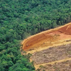 aerial view of deforestation in the amazon, the left side of the image has a u-shape of lush green trees while from the right side is an incursion of brown barren land and felled lumber