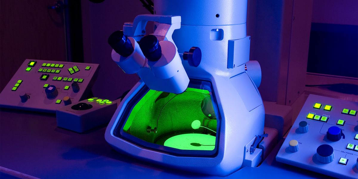 Reimagining Electron Microscopy - Vimarsana News