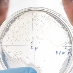 A round, clear petri dish with a clear, speckled film inside is in the foreground. Two men in safety glasses and lab coats are out of focus in the background.