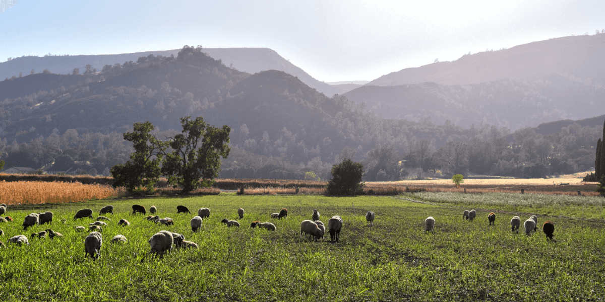 'Drop Industrial Agriculture,' Major Study Recommends - Vimarsana News