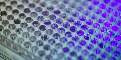 Peptide Barcoding for Next-Generation Sequencing