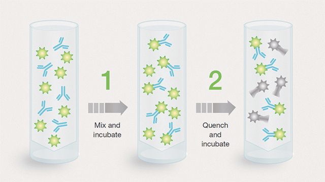 ReadiLink antibody labeling kits