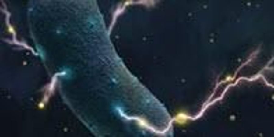 Gut Bacteria's Shocking Secret: They Produce Electricity | Lab Manager