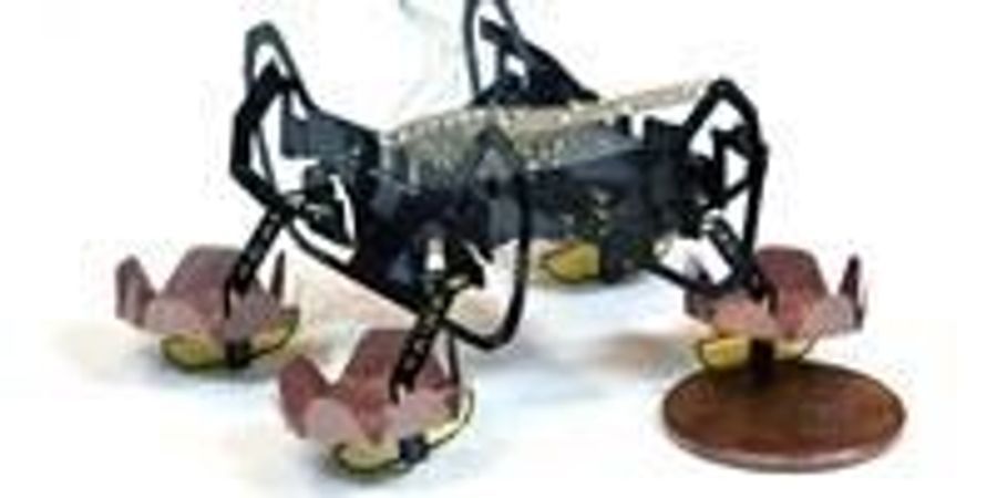 Next-Generation Robotic Cockroach Can Explore Underwater Environments ...