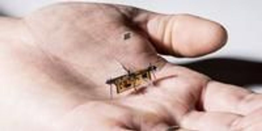 The First Wireless Flying Robotic Insect Takes Off | Lab Manager