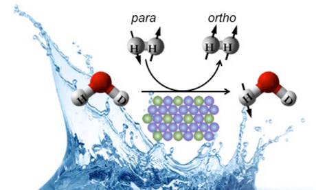 protons of liquid water