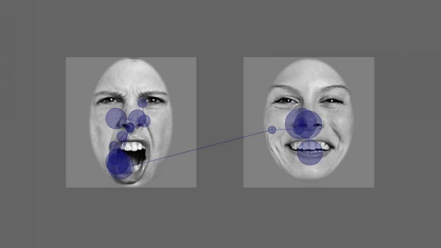 Durations of Ocular Fixations