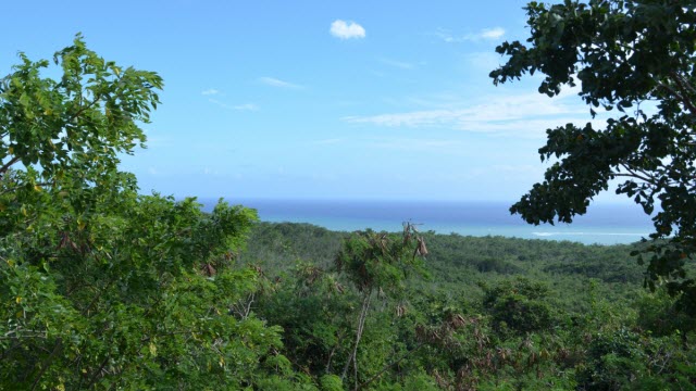 View from Guanica Biosphere Preserve, Puerto Rico