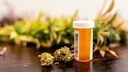 cannabis with pill bottle