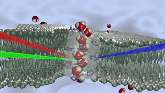 Schematic Representation of Water Molecules with a Wire-Like Structure 