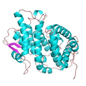 Platypus Protein 