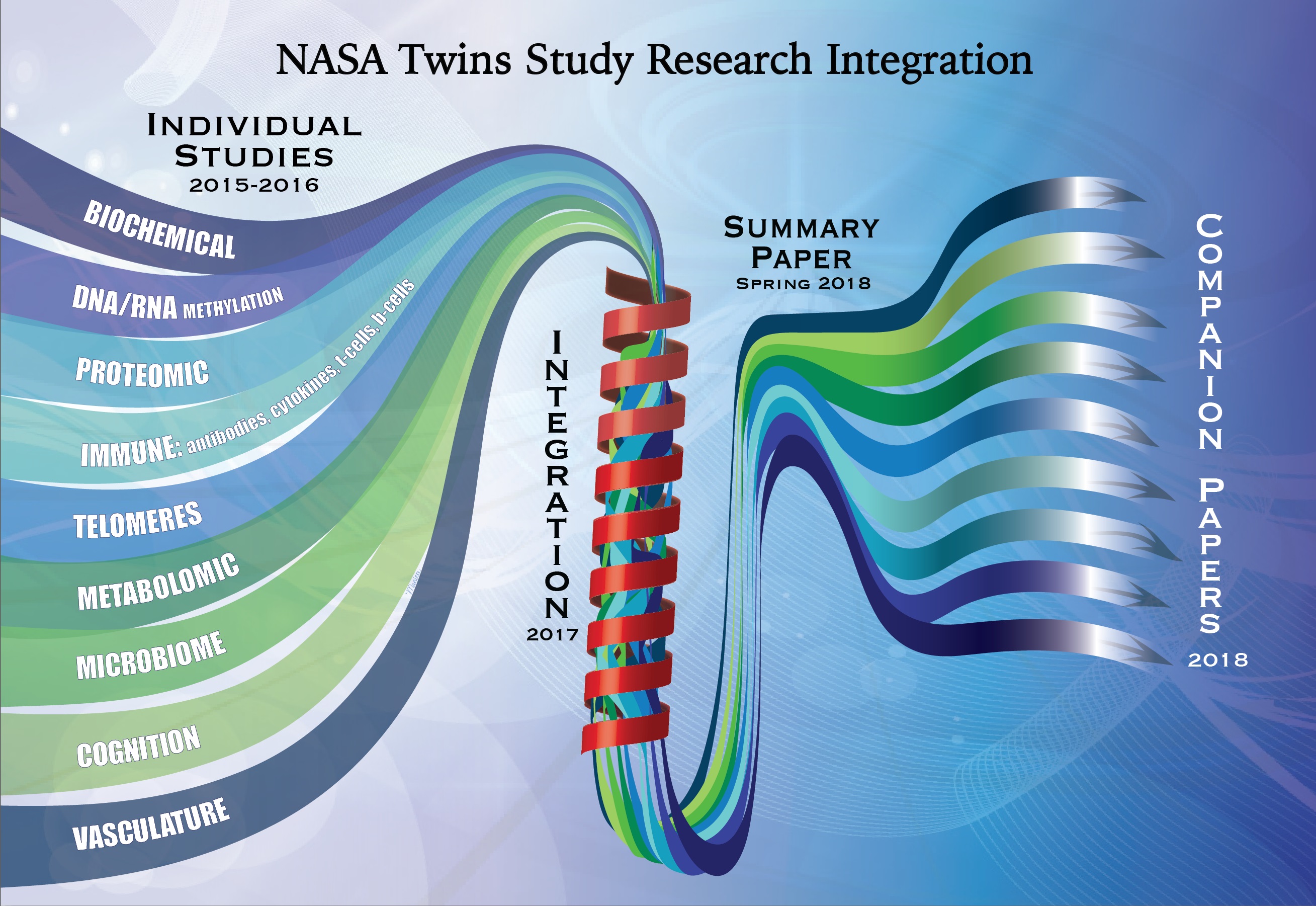 Graphic illustration of the path the individual Twins Study research