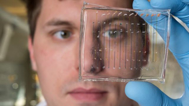 James Dahlman, an assistant professor in the Wallace H. Coulter Department of Biomedical Engineering at Georgia Tech and Emory University