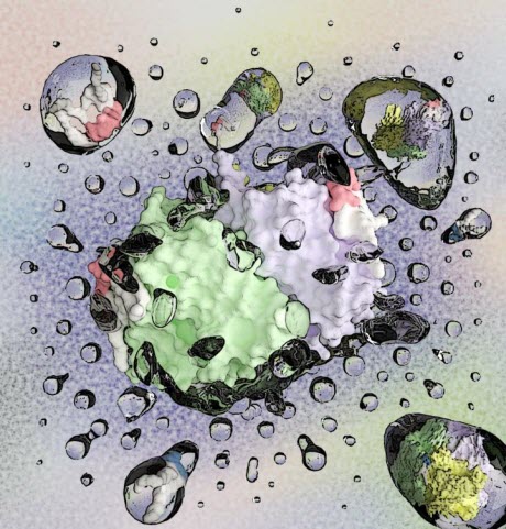 free and lipid bound membrane proteins